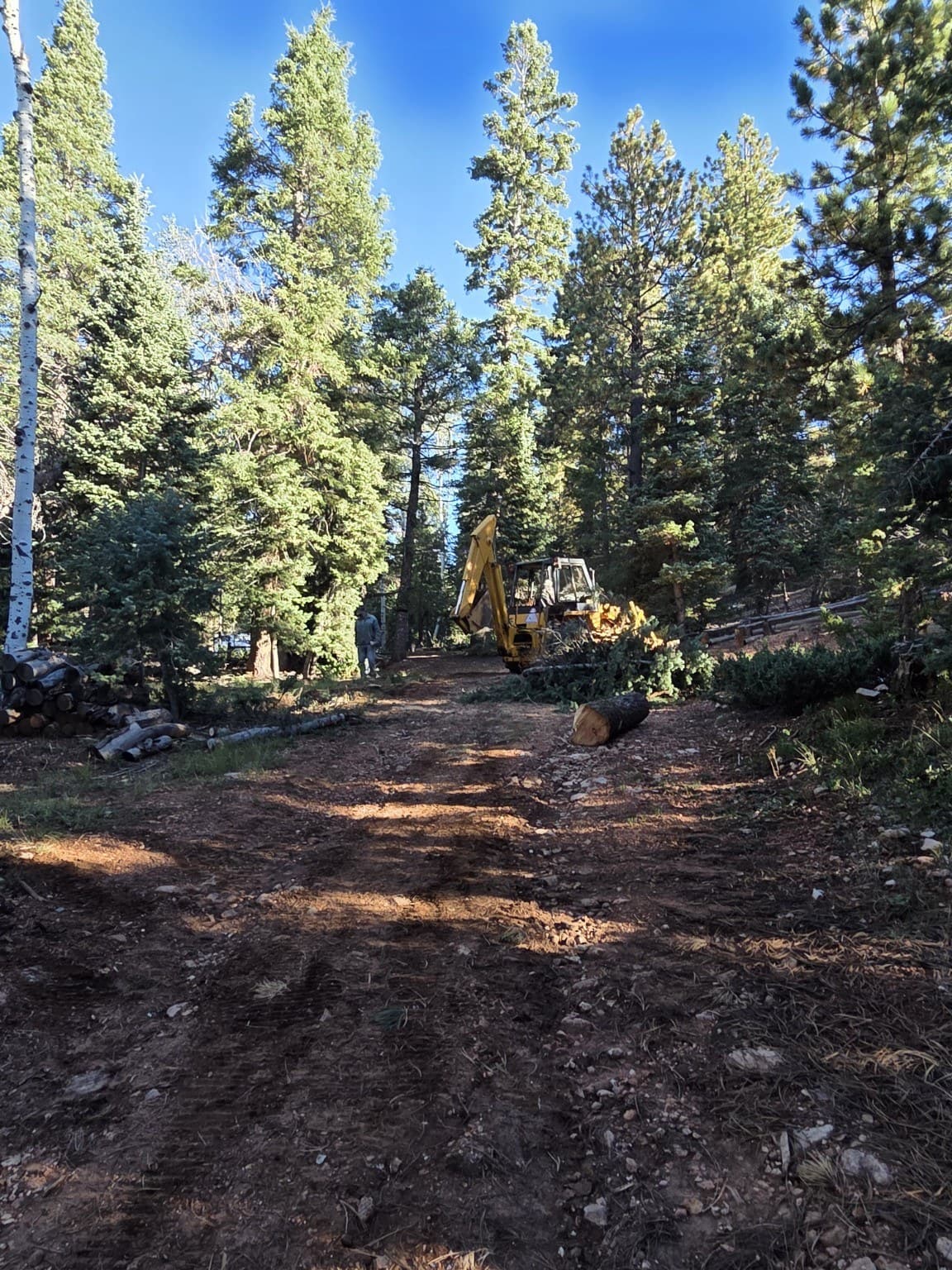 Wildfire Mitigation work