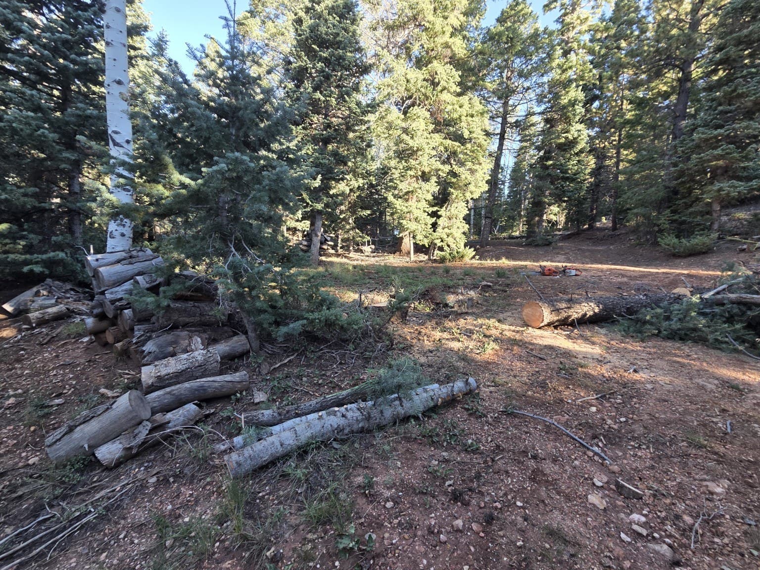 Wildfire Mitigation project